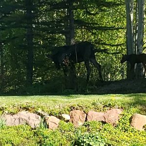 Image post by @flagdgolf on Instagram