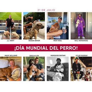 Image post by @azcardenales on Instagram