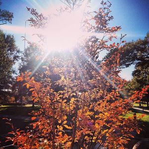 Image post by @loyolamaryland on Instagram