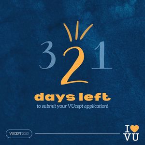 Image post by @vucept on Instagram