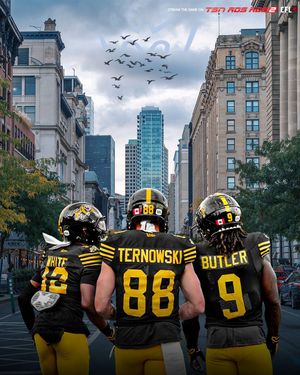 Image post by @hamiltontigercats on Instagram