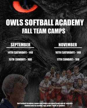 Image post by @fausoftball on Instagram