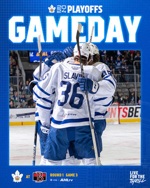 Image post by @torontomarlies on Instagram