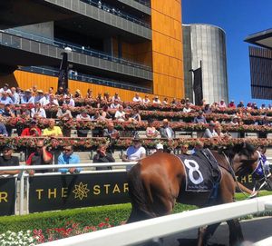 Image post by @australianturfclub on Instagram