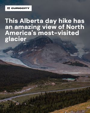 Image post by @curiocitycalgary on Instagram