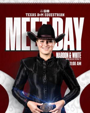 Image post by @aggieequestrian on Instagram