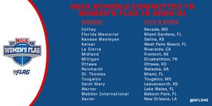 Image post by @NFLFLAG on Twitter
