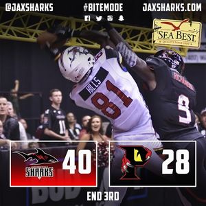 Image post by @jaxsharks on Instagram
