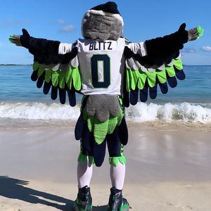 Image post by @blitztheseahawk on Instagram