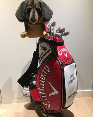 Image post by @plarrazabal on Instagram