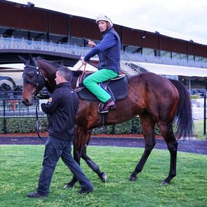Image post by @australianturfclub on Instagram