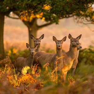 Image post by @discovery on Instagram