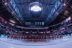 Image post by @WHLsilvertips on Twitter