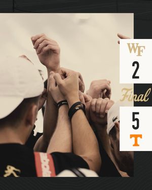 Image post by @WakeMTennis on Twitter