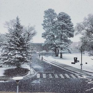 Image post by @nauflagstaff on Instagram