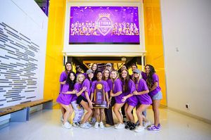 Image post by @lsugym on Instagram