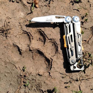 Image post by @leathermantools on Instagram