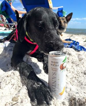 Image post by @drinkmomwater on Instagram
