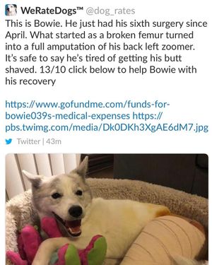 Image post by @karisamaxwell on Instagram
