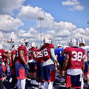 Image post by @mtlalouettes on Instagram