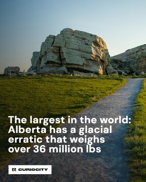Image post by @curiocitycalgary on Instagram