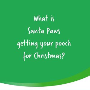 Image post by @yumove_usa on Instagram