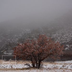 Image post by @lightboximages on Instagram