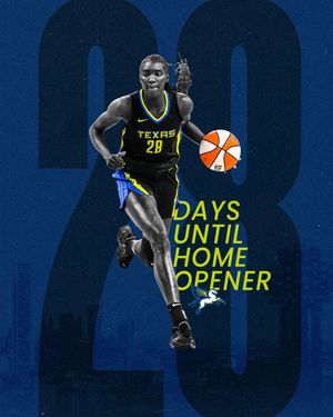 Image post by @DallasWings on Twitter