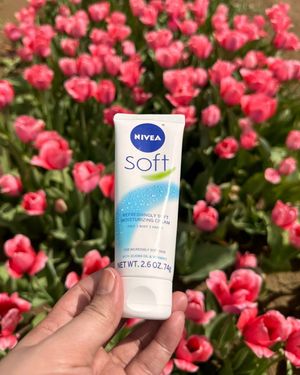 Image post by @niveausa on Instagram