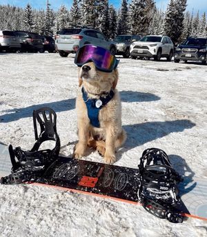 Image post by @winterparkresort on Instagram