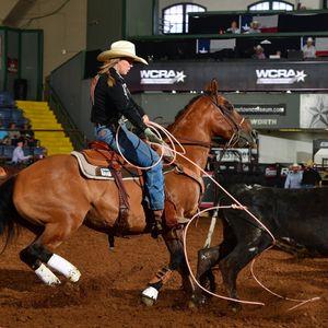 Image post by @womensrodeo on Instagram