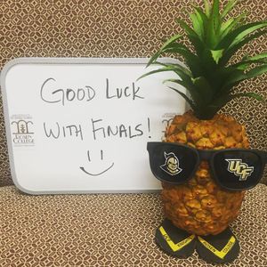 Image post by @rosencollege on Instagram