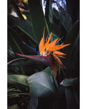 Image post by @prestoncrawley on Instagram