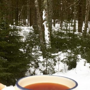 Image post by @themainemag on Instagram