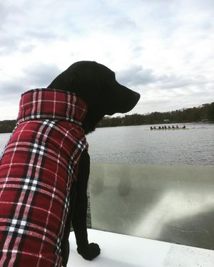 Image post by @indianarowing on Instagram