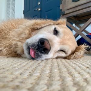 Image post by @thegoldenratio4 on Instagram