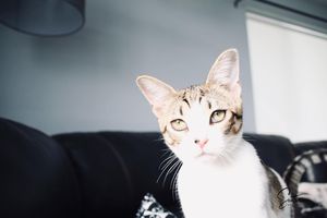 Image post by @souterphotography on Instagram
