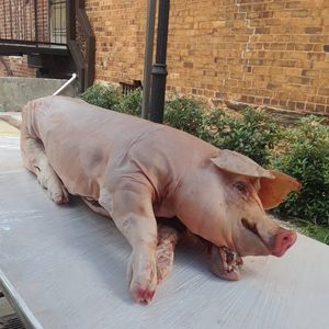 Image post by @mccraystavernlawrenceville on Instagram