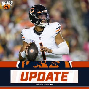 Image post by @bearsszn on Instagram