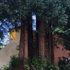 Image post by @ucsc on Instagram
