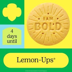 Image post by @sdgirlscouts on Instagram