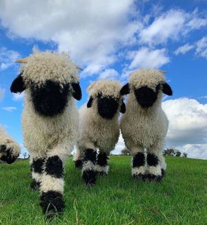 Image post by @fubiz on Instagram