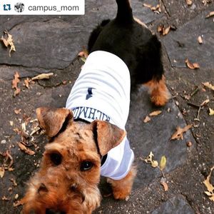 Image post by @spiderathletics on Instagram