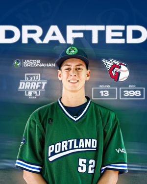 Image post by @picklesbaseball on Instagram