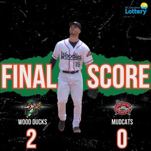 Image post by @GoWoodDucks on Twitter