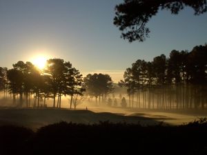 Image post by @ugagolfcourse on Instagram