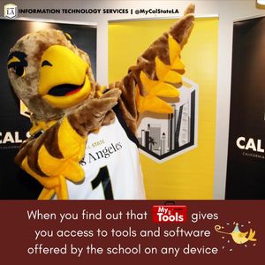 Image post by @mycalstatela on Instagram