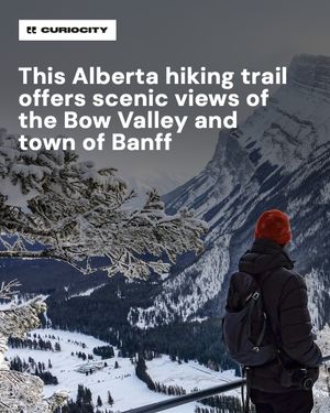 Image post by @curiocitycalgary on Instagram