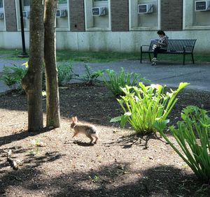 Image post by @stonybrooku on Instagram