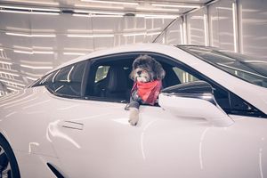 Image post by @lexususa on Instagram